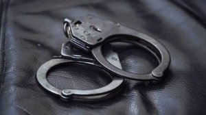 Суд отправил под домашний арест ректора Гатчинского университета