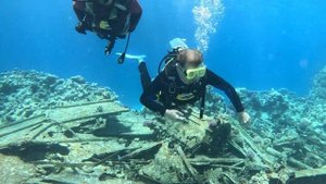 🌊  Хургадские поныряшки 🌊