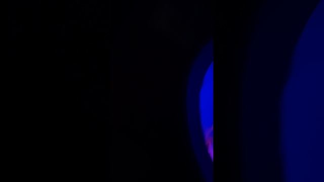 Океанариум в Сочи Адлере смотреть онлайн