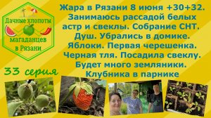 Жара в Рязани. Дачные хлопоты 8 июня. Пробуем первую черешню. Клубника,яблоки,земляника.Сажу свеклу