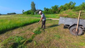 Деревенские будни, сенокос в разгаре 🌿