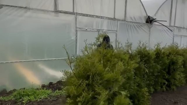 Всем доброе утро и хорошего дня наши будни утро влог #ga смотреть онлайн