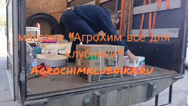 Бизнес по выращиванию клубники начинай с магазина Агр