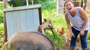 #22 😆😆😆ТОПОВЫЕ СМЕШНЫЕ МОМЕНТЫ / ПОПРОБУЙ НЕ ЗАСМЕЯТЬСЯ😆😆😆