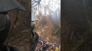 Тропа Джарвис подготовка к соревнованиям , Ростов-на-Д