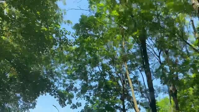 Тайны мироздания: раскрывая секреты красоты в природных явлениях