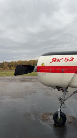 Накопить на Як-52 может каждый! Просто следуйте нашей инструкции из видео 💅