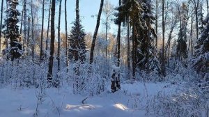 Зимняя красота