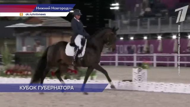 В конно-спортивном комплексе "Пассаж"прошёл Кубок Губернатора и этап Кубка России по выездке