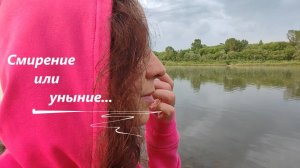 Чувства всегда правдивы, даже если ум обманывает, подменяя понятия...