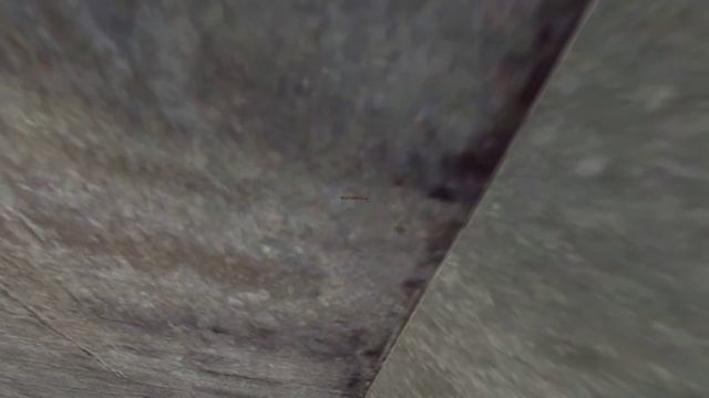 Half-Life Enriched. Глава 12. "Забудьте о Фримене" смотреть онлайн