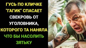 Истории из жизни Храбрый гусь по кличке ГАГИК спасает свекровь и невестку от уголовника Живой Голос