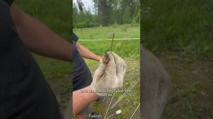 Как сэкономить на фундаменте? Зондирование участка: что это и зачем нужно?