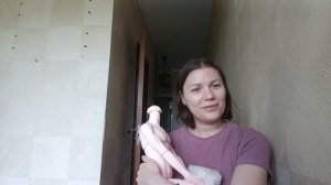 Распаковка посылки