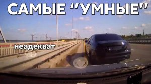 Подборка САМЫХ "УМНЫХ" водителей #1146