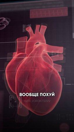 БЕГАЙ ПО ПУЛЬСУ