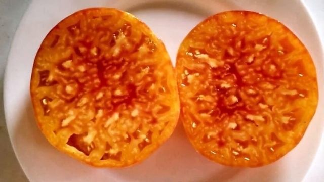 ТОМАТЫ. Каталог томатов 2024 года.  Часть 4. Проверенные с смотреть онлайн