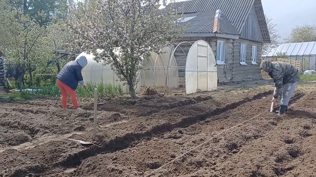 Какая б не была весна, а грядки делать надо. Папа выбра?