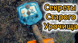 Секреты Урочища: Захватывающие Находки и Удивительные Открытия!