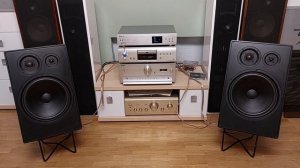 Акустика Canton GLE 100