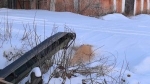 Пиление на пилораме  Р63