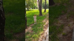 Летнее солнечное настроение ☀️🌷