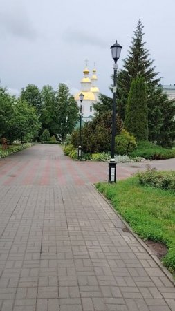12-06-2025