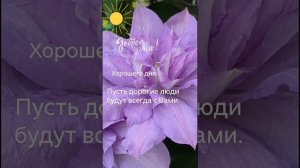 Пусть дорогие люди будут всегда с Вами.#утро #Клематисы