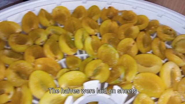 Yellow plum prunes. Чернослив из желтой сливы.