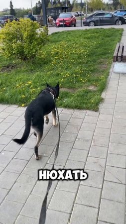 Плохие новости