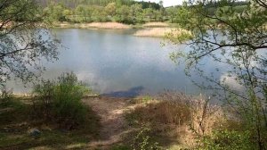 1141, 16.05.2021, Орловский район, деревня, лесной массив, лес, Вязки, Абашевский, пруд, ПЕРВОЦВЕТ Л