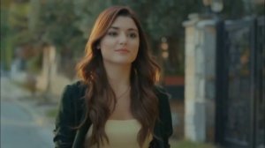 Полевые цветы