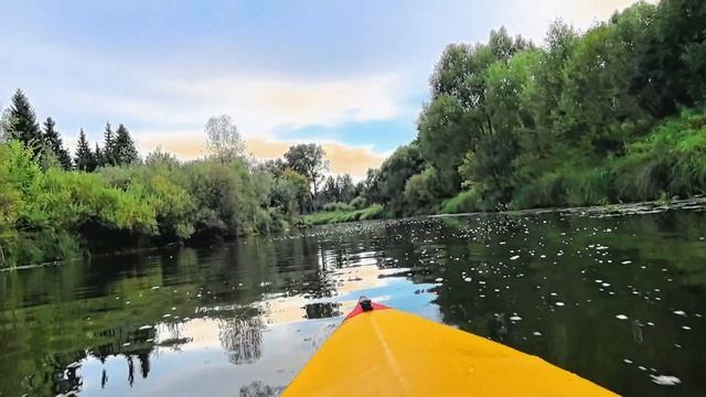 Прогулка 19.08.2024. р. Дубна. Короткая версия. смотреть онлайн