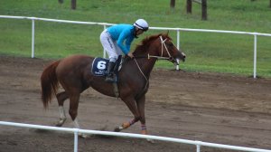 Скаковой день 12 июня. Дистанция 2400 м. Шугар Кид