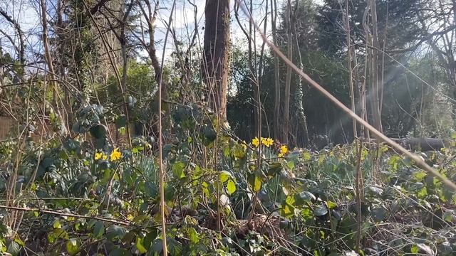 КАК СОЦИАФОБ ВЫЖИВАЕТ В ЕВРОРЕ, БЕСПЛАТНАЯ ЕДА В ПРИРО смотреть онлайн