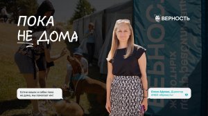 Елена Афрова (директор АНБО «Верность») о проекте «Пока не дома»