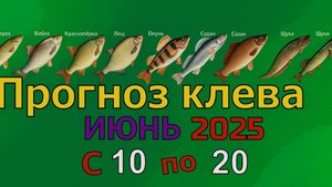 Когда лучше клюет рыба на этой неделе с 10 июня по 20 Июня 2025