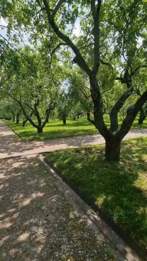 Красивый Казанский сад музея-заповедника Коломенское