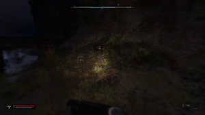 Халявный артефакт Дикий остров Рубец S.T.A.L.K.E.R. 2: Heart of Cho