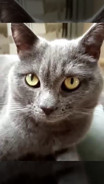 позитив!!! смотреть онлайн