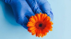 Поздравить с Днем Медика 💖 С Праздником