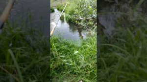 рыбалка на ручье