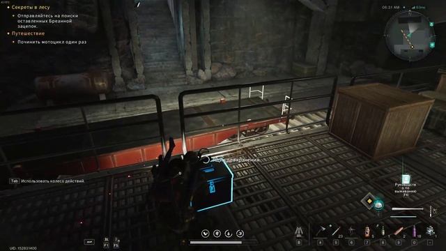 Секреты в лесу в Once Human смотреть онлайн