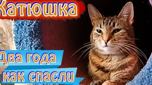 Катюшка. Два года как спасли.