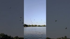 гуляем по набережной.