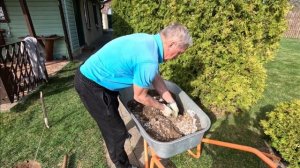 Подготовка и посадка вечнозелёного самшита - элемент ?