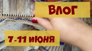 Кардиган дальневосточный суп и протеиновые печеньки