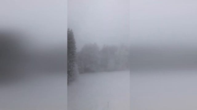 Лыжи со школой. Дедушка и бабушка в гостях. Подарок от P смотреть онлайн