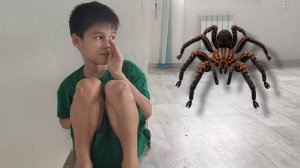 Камиль гонится за ГИГАНТСКИМ ПАУКОМ