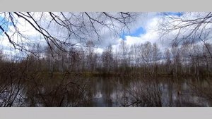 Утро принесло сиянье дня.. Стихи для души.. автор Гала Граф, в моем прочтении